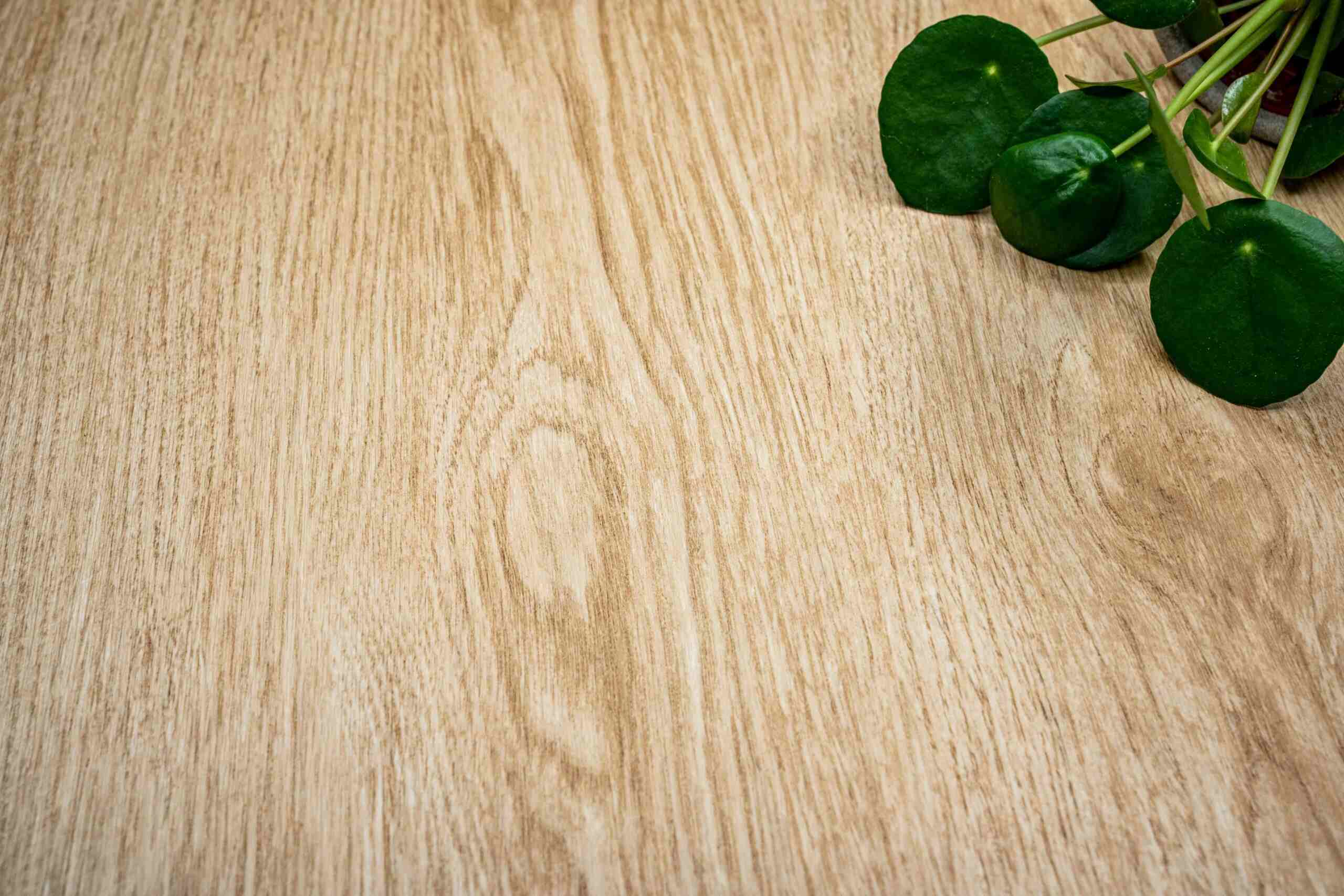 Light Wood