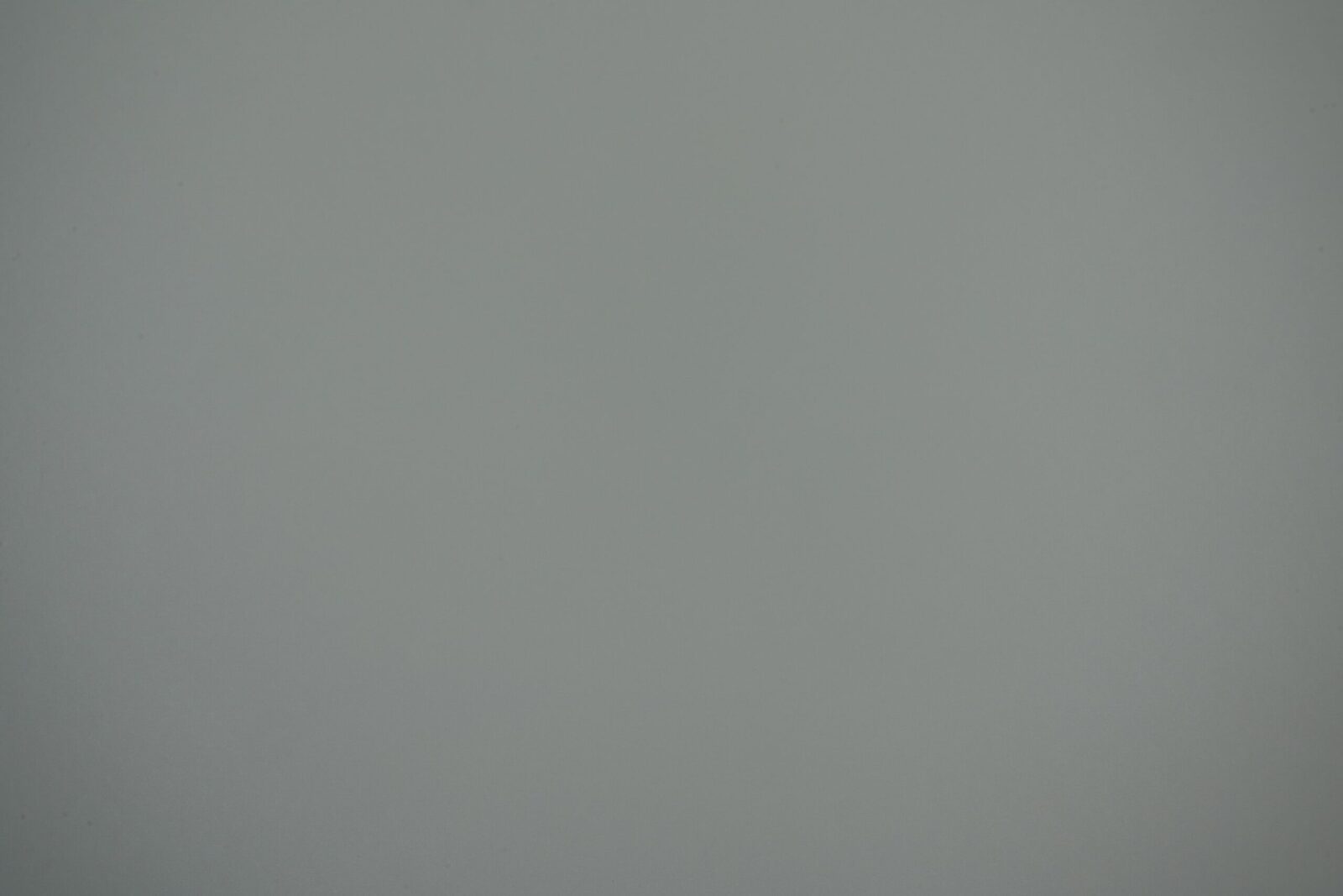 NE82-1.jpg