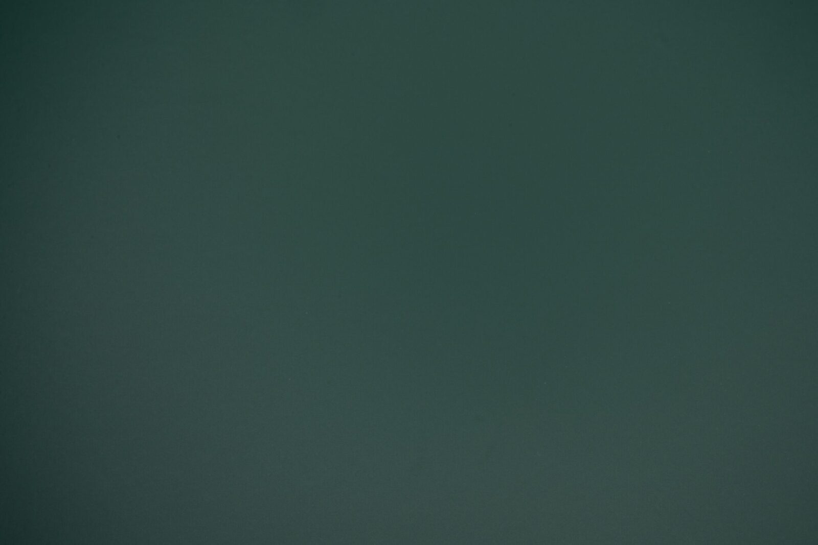 NF13-1.jpg